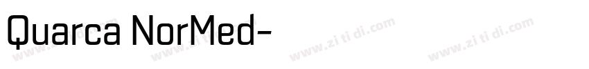 Quarca NorMed字体转换